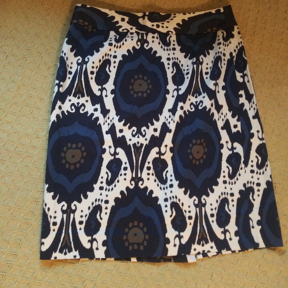 J. Crew Skirt - Picture 1 of 8